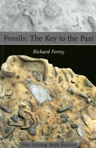 Fossils
