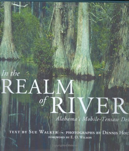 In the Realm of Rivers