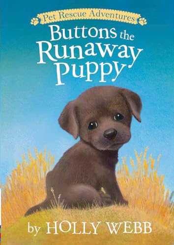 Buttons the Runaway Puppy