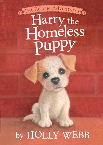Harry the Homeless Puppy