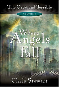 Where Angels Fall 
