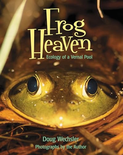Frog Heaven