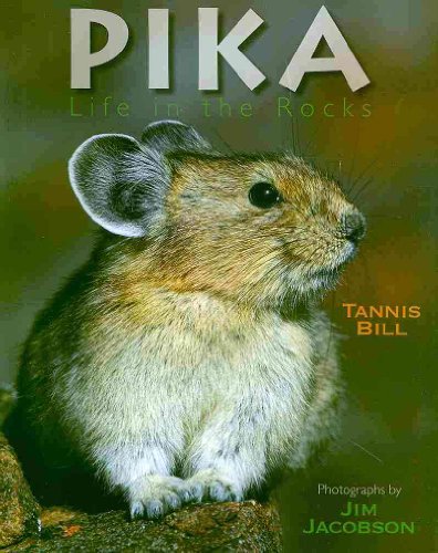Pika