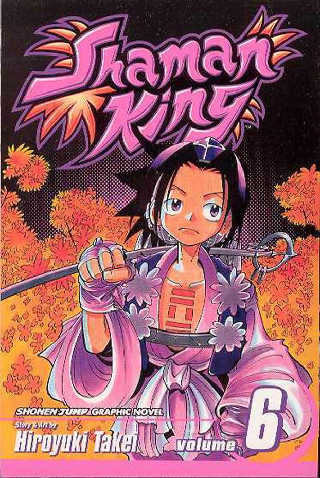 Shaman King, Vol. 6