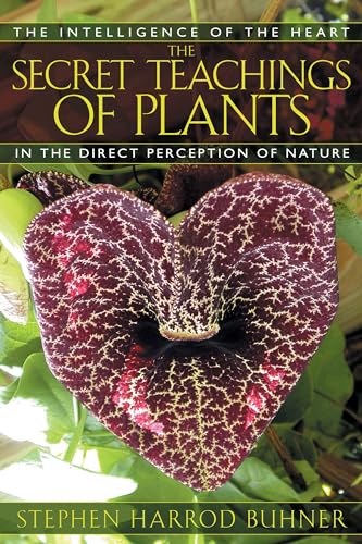 The Secret Teachings of Plants