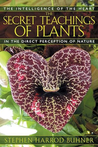 The Secret Teachings of Plants 