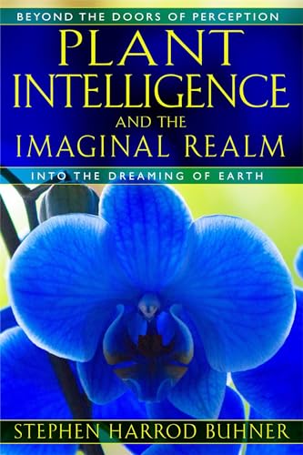 Plant Intelligence and the Imaginal Realm