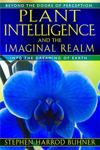 Plant Intelligence and the Imaginal Realm 