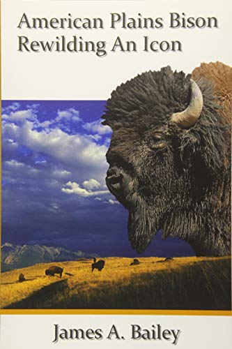 American Plains Bison: Rewilding and Icon