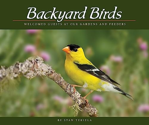 Backyard Birds