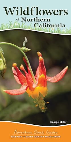 Wildflowers of Northern California