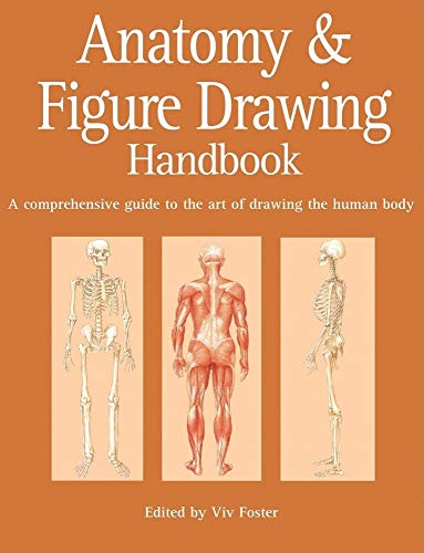Anatomy and Figure Drawing Handbook : A Comprehensive Guide to the Art of Drawing the Human Body