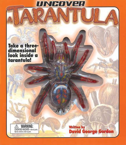 Uncover a Tarantula
