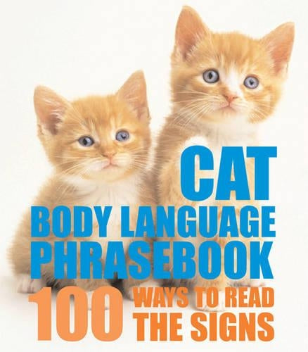 Cat Body Language Phrasebook
