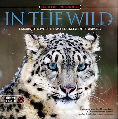 Spotlight Interactive: In the Wild