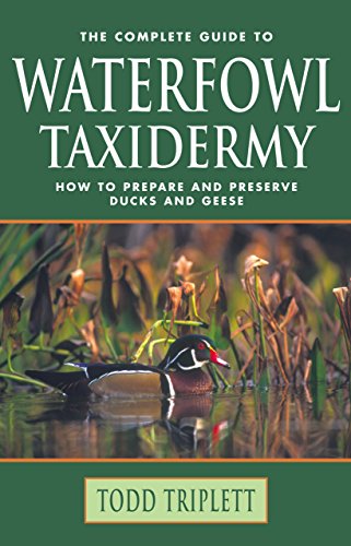 The Complete Guide to Waterfowl Taxidermy