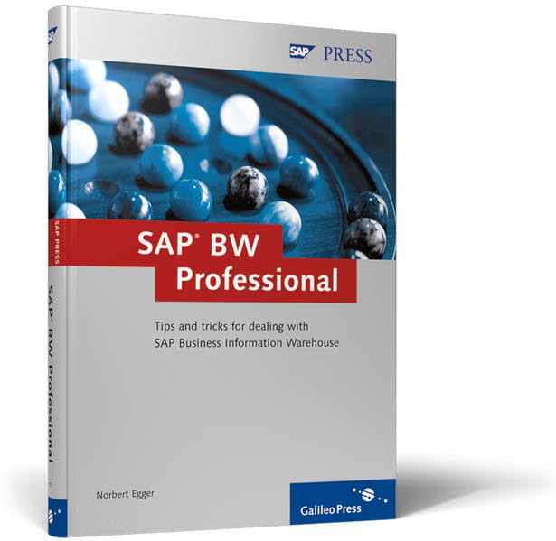 SAP BW Professional