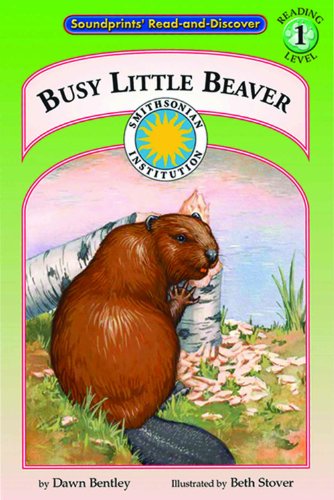 Busy Little Beaver
