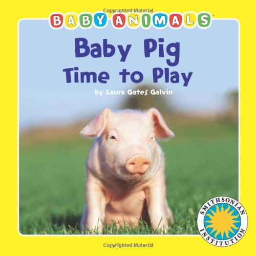 Baby Pig Time to Play