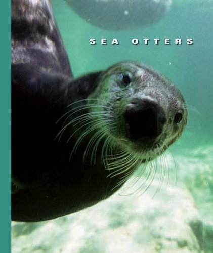Sea Otters