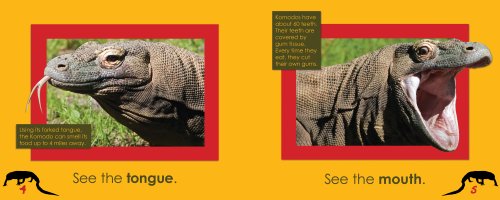 Komodo Dragons