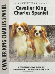 Cavalier King Charles Spaniel 