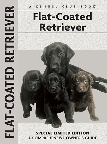 Flat-Coated Retriever