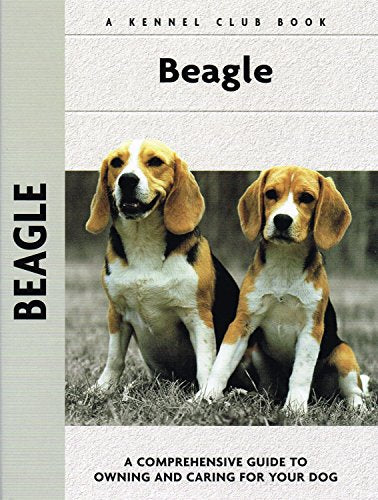 Beagle
