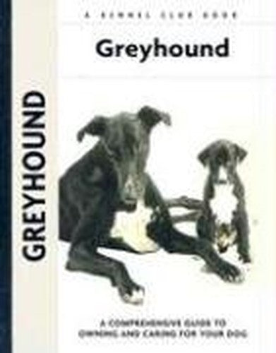 Greyhound