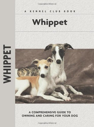 Whippet
