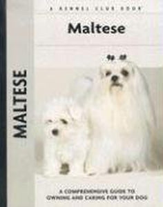 Maltese 