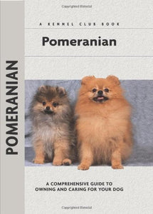 Pomeranian 