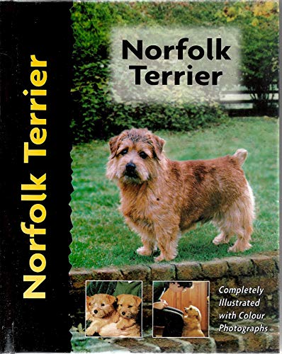 Norfolk Terrier