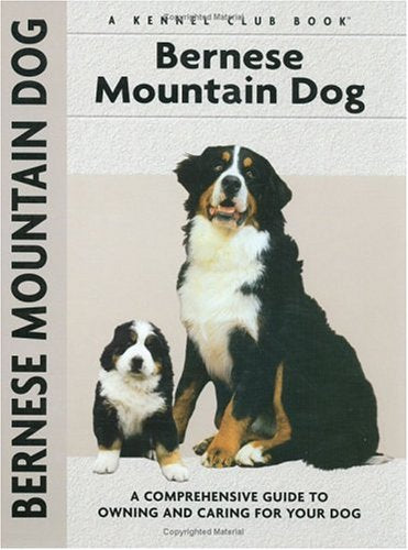 Bernese Mountain Dog