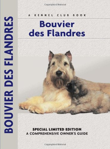 Bouvier Des Flandres