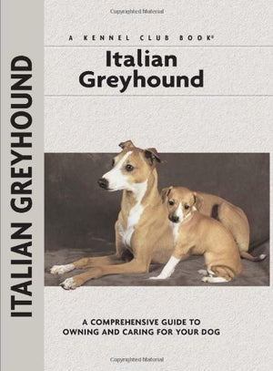 Italian Greyhound