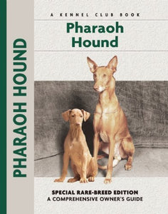 Pharoah Hound 
