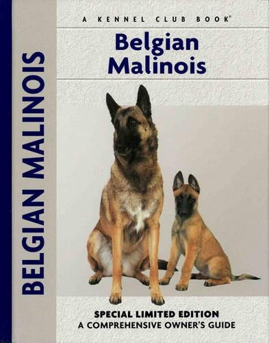 Belgian Malinois