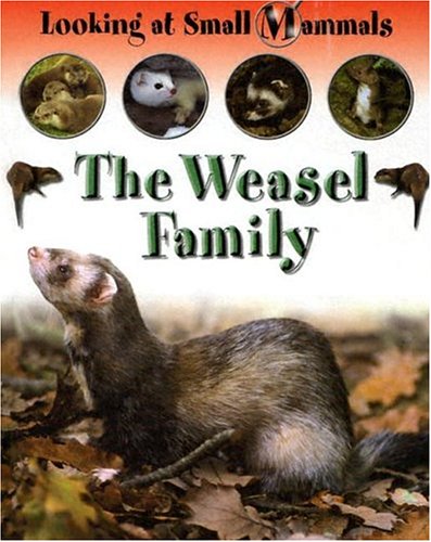 The Weasel Family