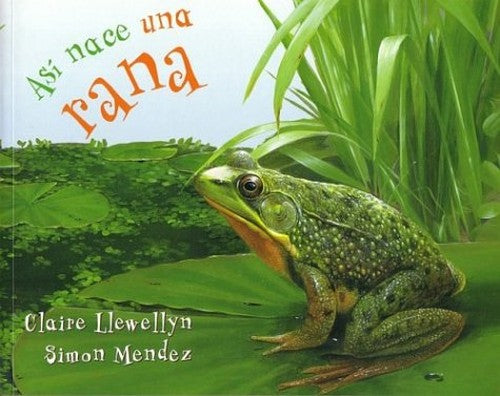 Asi Nace una Rana