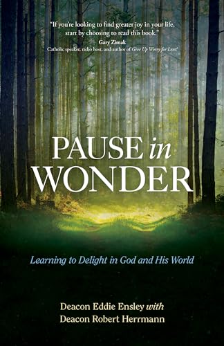 Pause in Wonder
