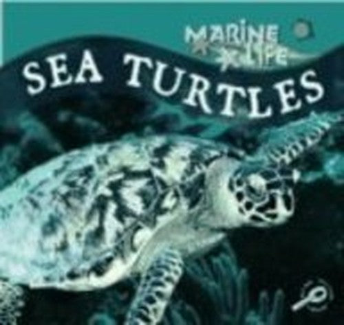 Sea Turtles