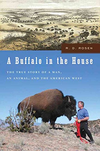 A Buffalo In The House