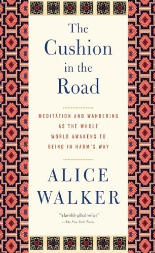 The Cushion In The Road