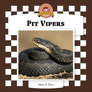 Pit Vipers