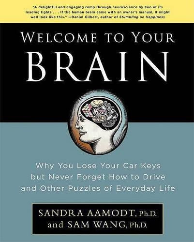 Welcome to Your Brain