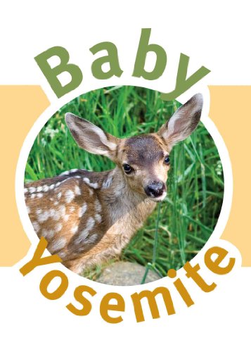 Baby Yosemite