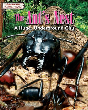 The Ant's Nest