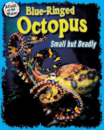 Blue-Ringed Octopus