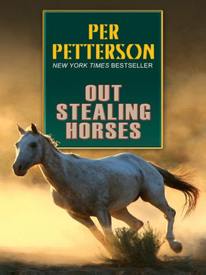 Out Stealing Horses